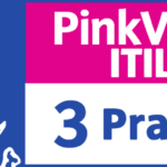 3-PinkVERIFY-Practices - Proactivanet