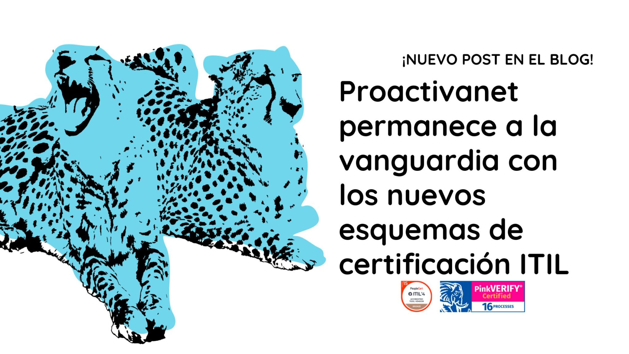 Proactivanet ® | Noticias