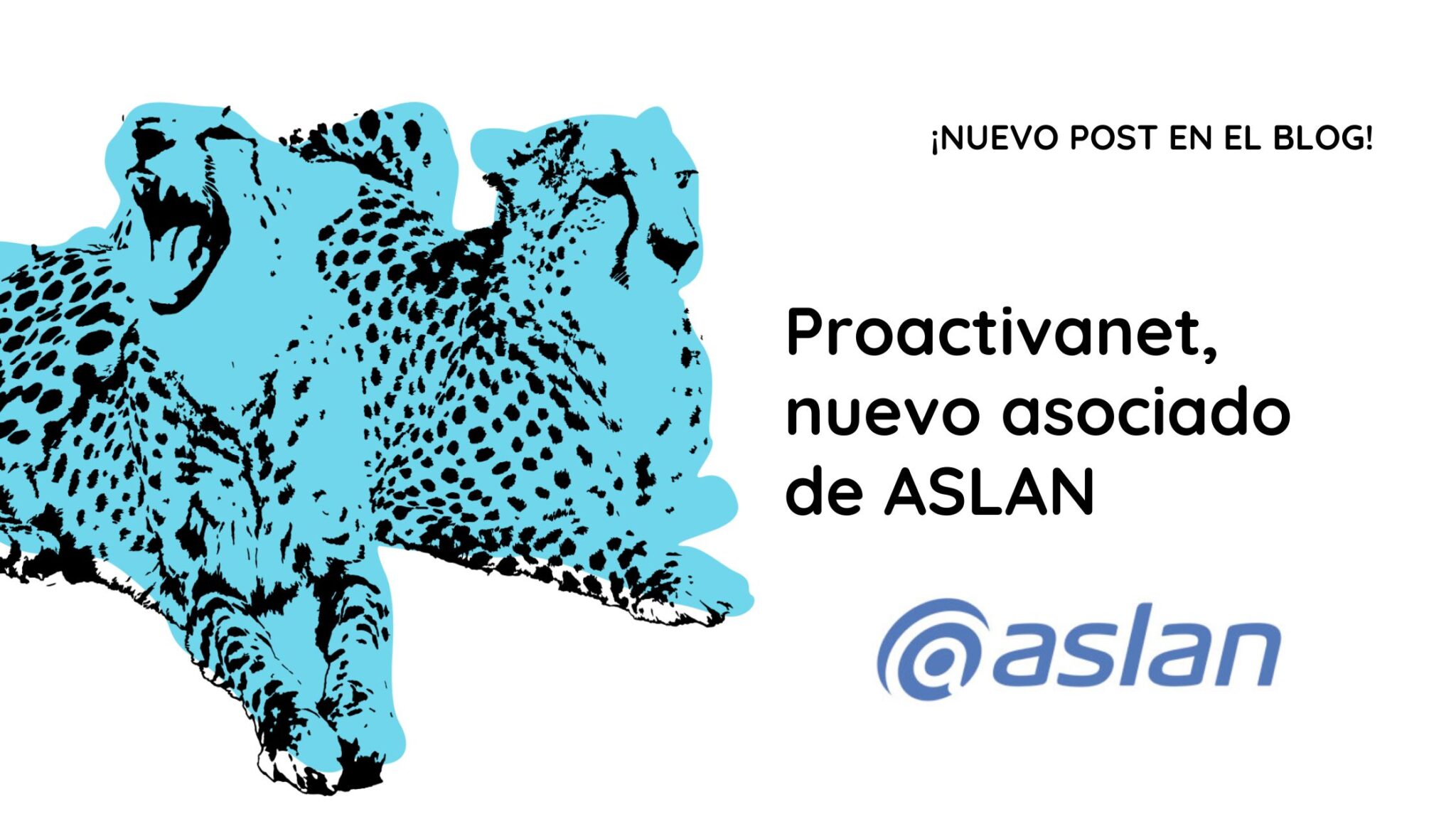 Proactivanet Logo Proactivanet ® | Noticias