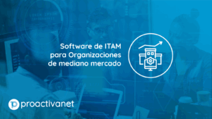 Software ITAM